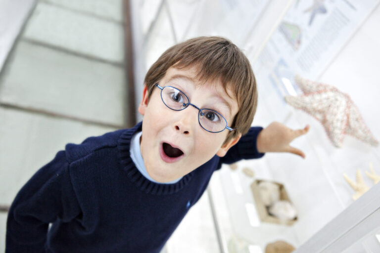 Zoologisches Museum Kiel Kinderkram Ausflug Familien