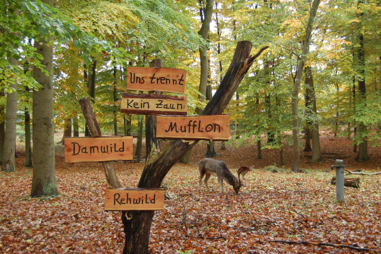 Tiergehege Kiel Kinderkram