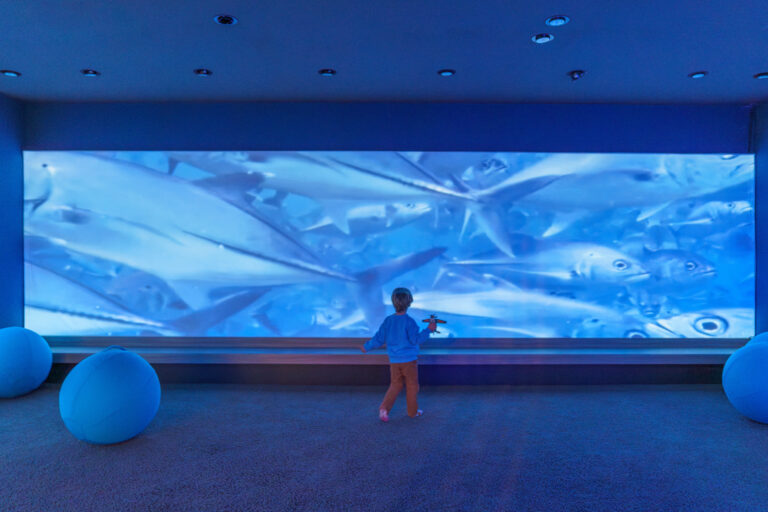 SEALEVEL Kiel – Die neue Familienattraktion in Kiel